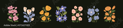 Blossomed spring flowers set. Gorgeous floral plants with delicate petals, beautiful buds, leaves. Interior wall art, botany cards, summer garden blooms. Colored floristic flat vector illustrations