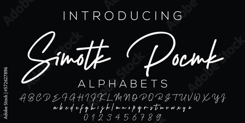Signature Font Calligraphy Logotype Script Brush Font Type Font lettering handwritten