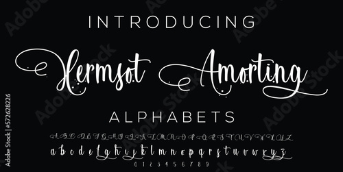 Signature Font Calligraphy Logotype Script Brush Font Type Font lettering handwritten