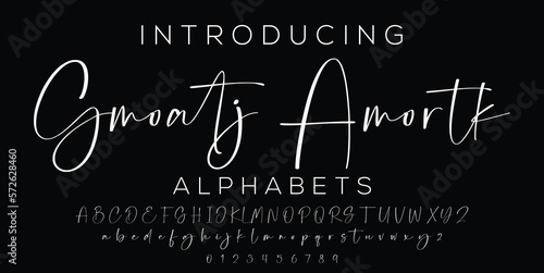 Signature Font Calligraphy Logotype Script Brush Font Type Font lettering handwritten
