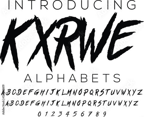 Signature Font Calligraphy Logotype Script Brush Font Type Font lettering handwritten