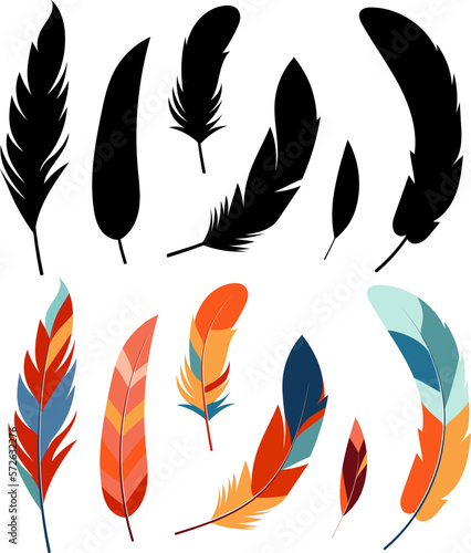 bird feathers silhouette isolated vector
