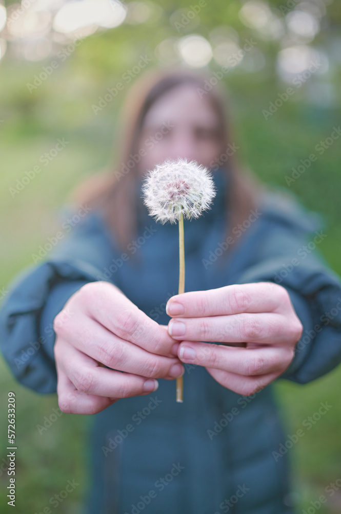Unrecognizable young woman holds a blowball (dandelion) in a spring day. Sightseeing in the rural landscape of the Madrid countryside. Unrecognizable young woman holds a blowball (dandelion) in a spring day. Sightseeing in the rural landscape of the Madrid countryside.