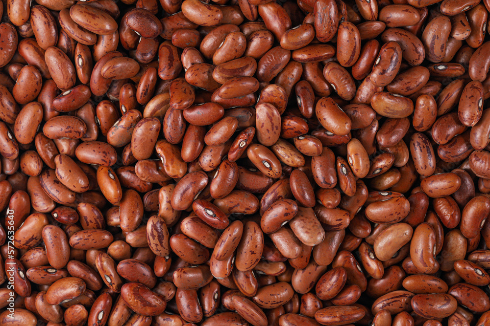 Pinto Beans (Frijoles pintos, Speckled bean, Feijao carioca, Common bean, Phaseolus vulgaris) Pinto Beans (Frijoles pintos, Speckled bean, Feijao carioca, Common bean, Phaseolus vulgaris)
