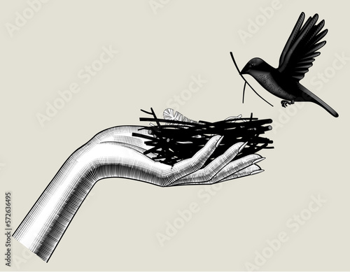 Woman's palm hand holding a bird's nest and a flying bird with a branch in its beak. Vintage engraving stylized drawing. Vector illustration