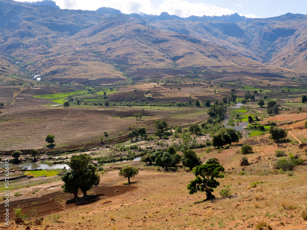 Terraced fields in the foothills. Andringitra National Park. Madagascar.
