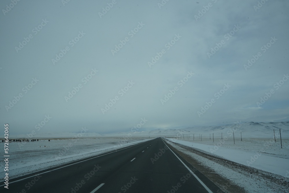 road in Altai