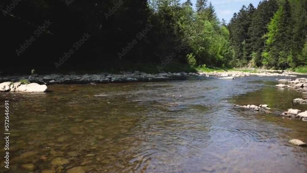 Beautiful mountain river with stones, green spring trees grows near the bank. The river and mountain folds Beautiful mountain river with stones, green spring trees grows near the bank. The river and mountain folds