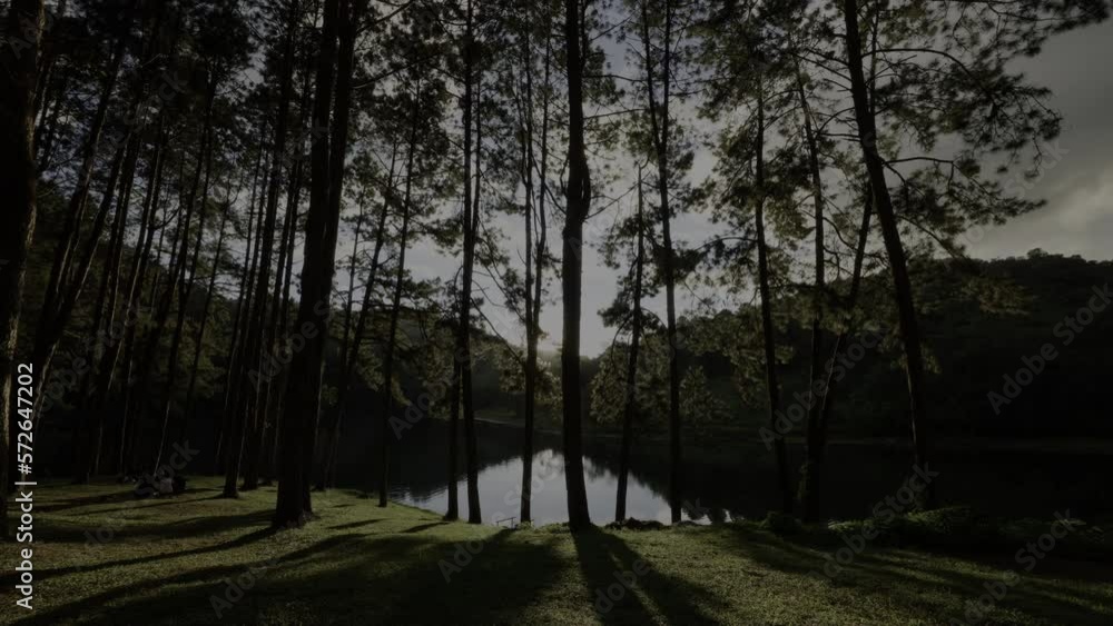 Time-lapse movement of sunbeam reflecting on water the lake and shadow of pine trees at Pang Ung National Park Mae Hong Son Province Thailand. 4k resolution Time-lapse movement of sunbeam reflecting on water the lake and shadow of pine trees at Pang Ung National Park Mae Hong Son Province Thailand. 4k resolution