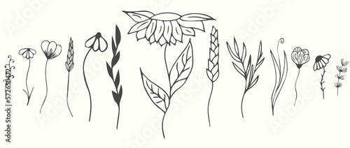 Floral branches for logo or decoration. Minimalistic wedding flowers  grass and leaves for invitation  save the date card. Hand drawing.  