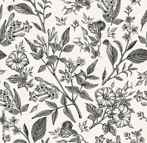 Seamless pattern. Beautiful fabric blooming realistic isolated flowers. Vintage background. Set Jasmine Petunia Croton wildflowers. Wallpaper baroque. Drawing engraving. Vector victorian illustration