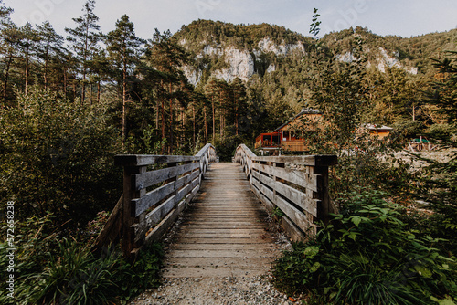 Slowenien   Haus mit Br  cke im Wald