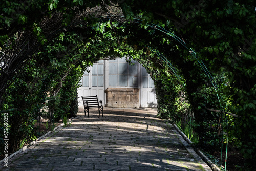 Fototapeta Naklejka Na Ścianę i Meble -  jardin public maltais