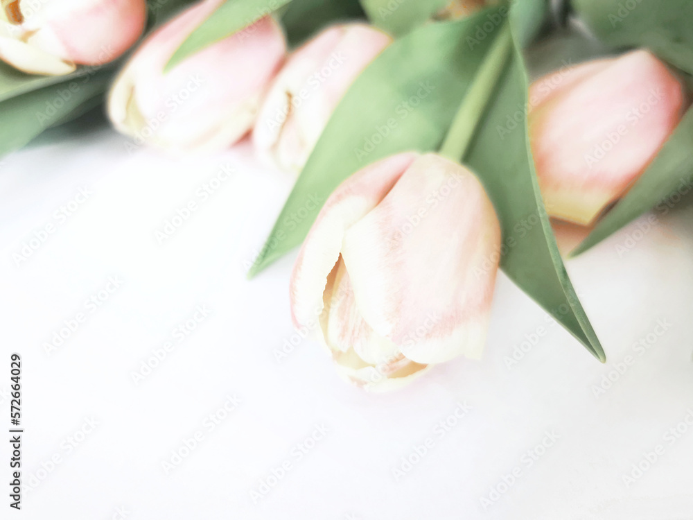 Naklejka premium Różowe kwiaty tulipany tło