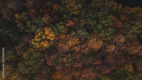 Aerial shot of orange-red and green forests at sunset in Slovak forests. Autumn fairy tale. Variety and colourfulness of nature