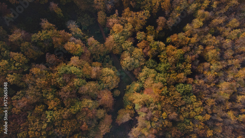 Aerial shot of a footpath between orange-red forests at sunset in Slovak forests. Autumn fairy tale. Variety and colourfulness of nature © Fauren