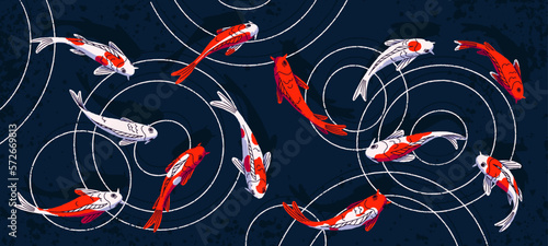 Koi carps swimming in water. Japanese Asian fishes in zen garden pond. Japan oriental aqua animals in river, panoramic view. Traditional peaceful eastern nature, colored flat vector illustration