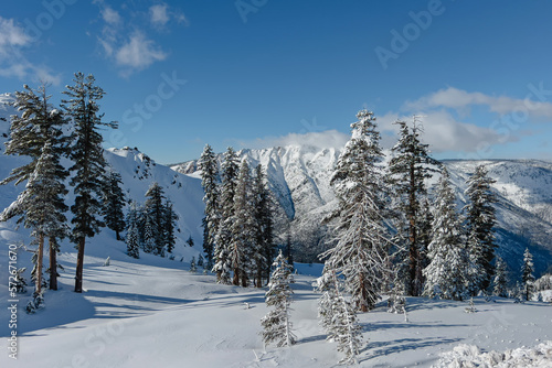 Beautiful winter mountain landscape, Bear Valley, California