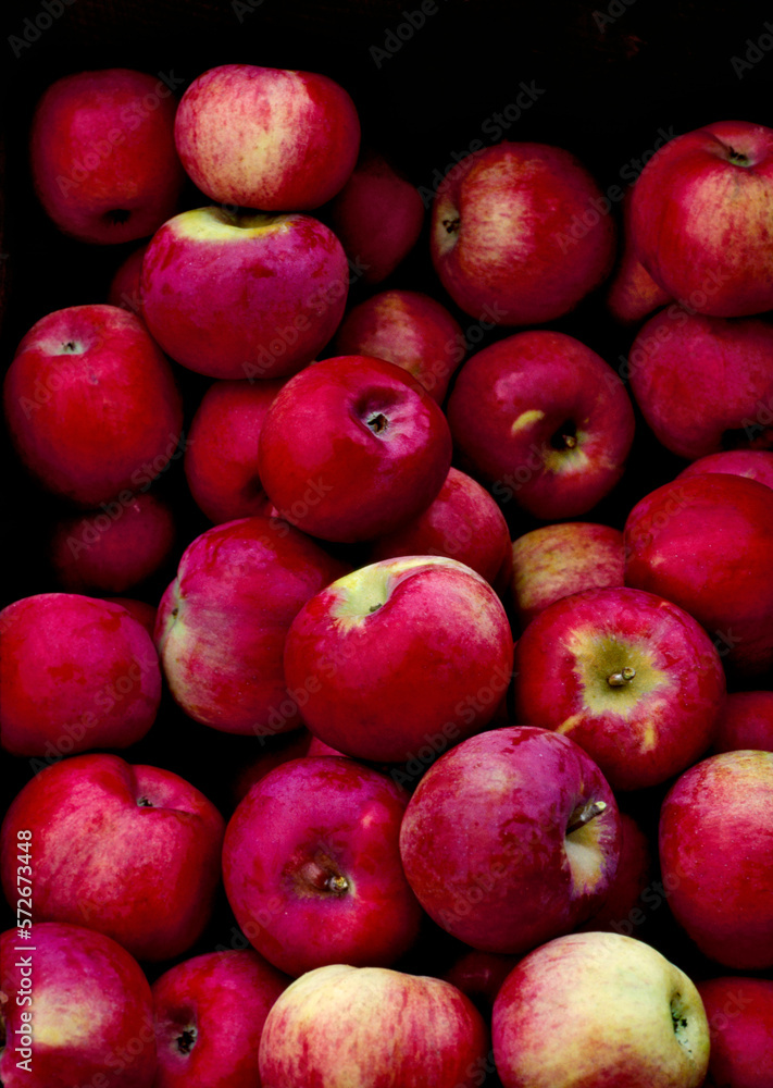 Apples Apples