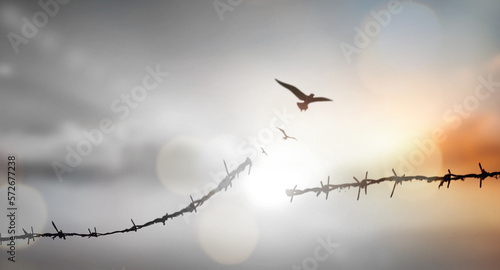 Barrier wire fence refugees Twilight sky