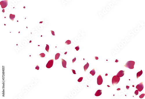 Delicate Petal Falling Vector White Background.