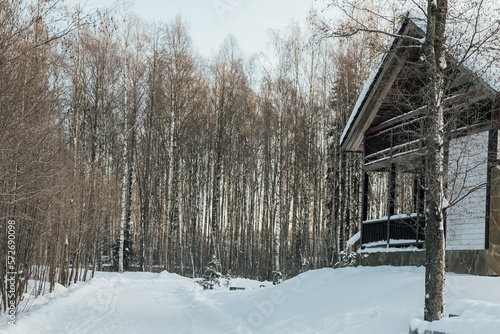 house in the forest with big trees with snow in winter travel winter hike