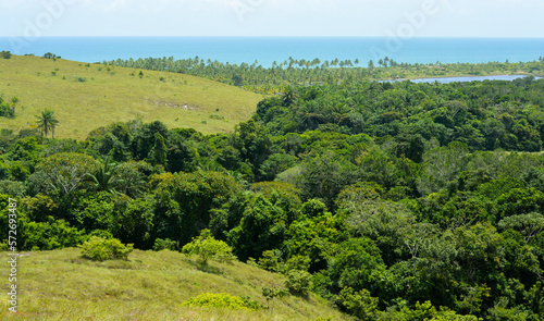 Estrada para Barra Grande - Bahia