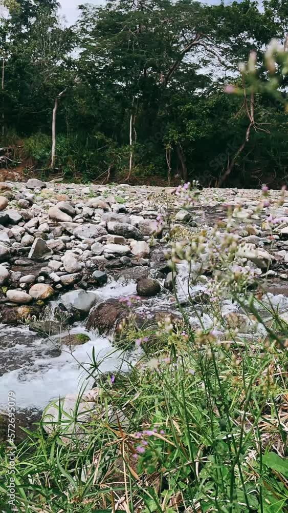 stream in the forest,nature, stone, water, forest, landscape, rock, stream, river, tree, garden, park, waterfall, rocks, spring, ancient, mountain, grass, travel, plant, wood, trees, summer, beauty, s