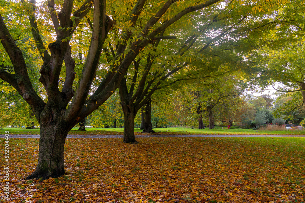 Hyde Park is a park located in London, United Kingdom. It is the largest of the four royal parks. Hyde Park is a park located in London, United Kingdom. It is the largest of the four royal parks.