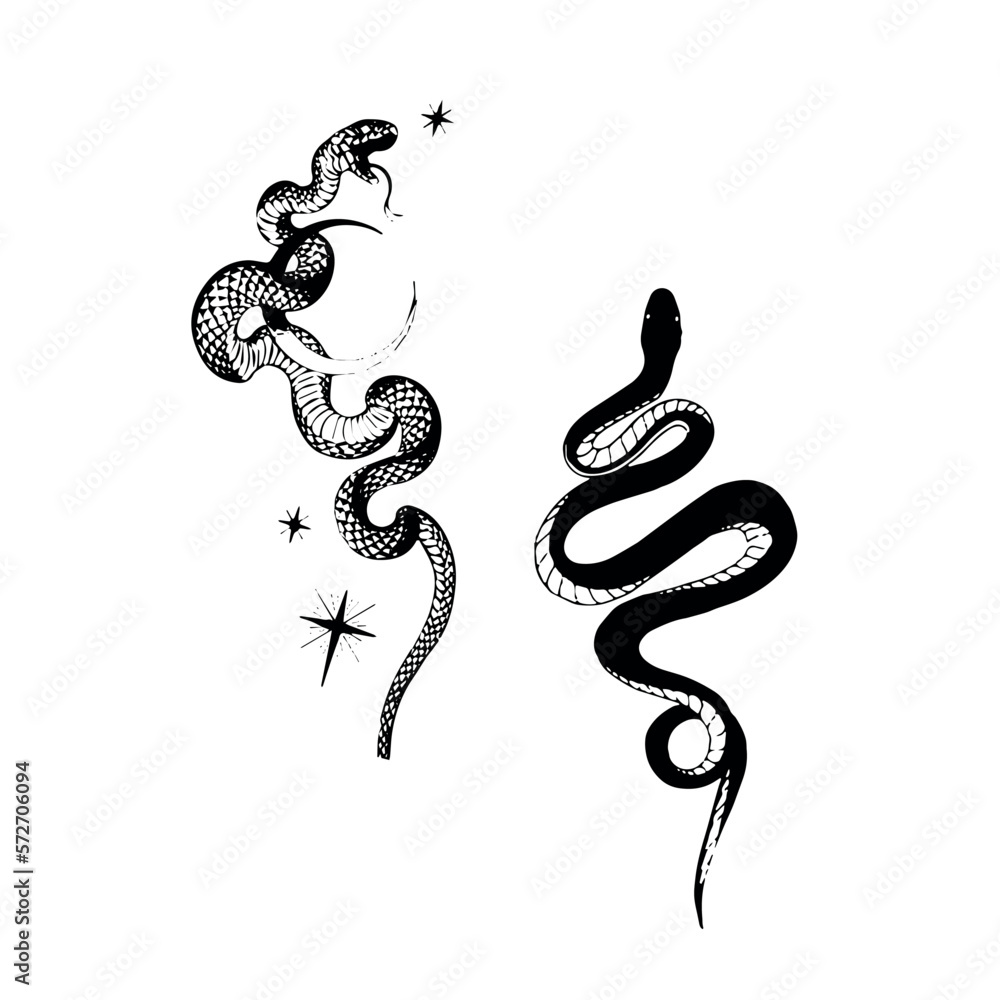 Snake tattoo Free Stock Photos, Images, and Pictures of Snake tattoo
