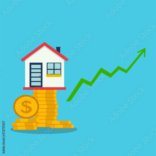 House With Gold Coins Statistic Vector Icon Illustration. Real Estate Investment Concept.
