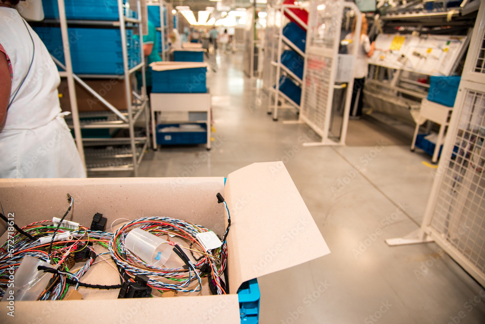 Braided wire structures in a crate at a car wiring factory.