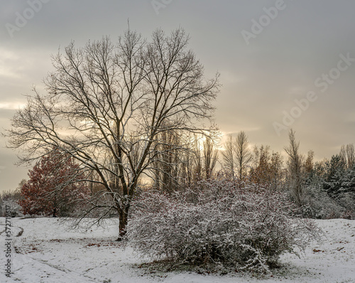 Winterlandschaft mit Schneewolken im Berliner Naturschutzgebiet 