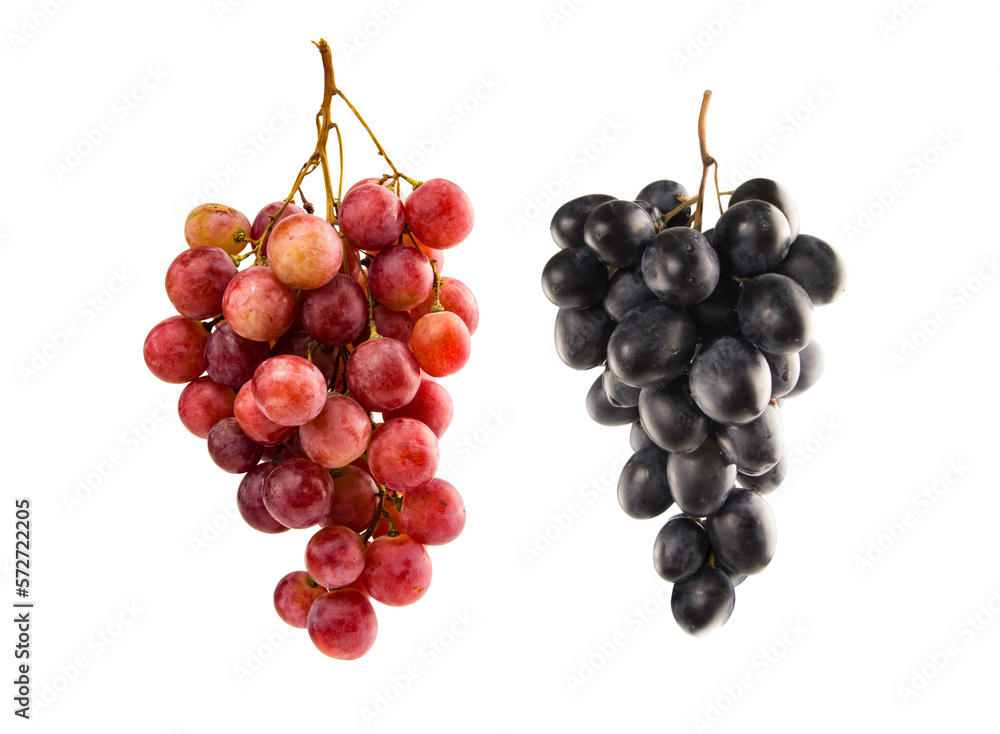 Collection of grape varieties on transparent background. Red grapes, black grapes.
