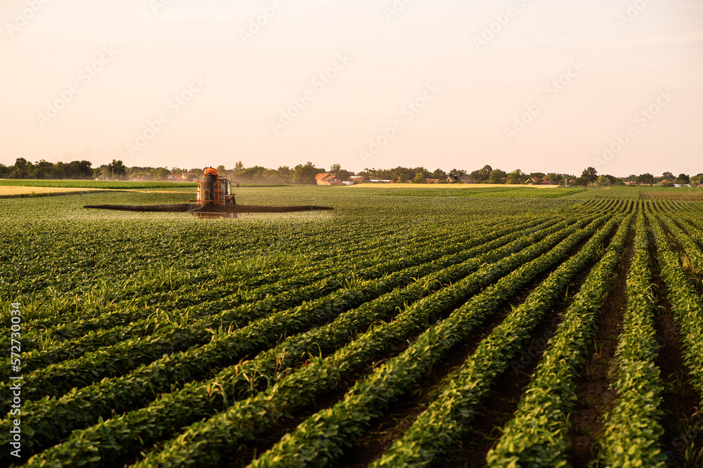 Tractor spraying soybean crops field Tractor spraying soybean crops field