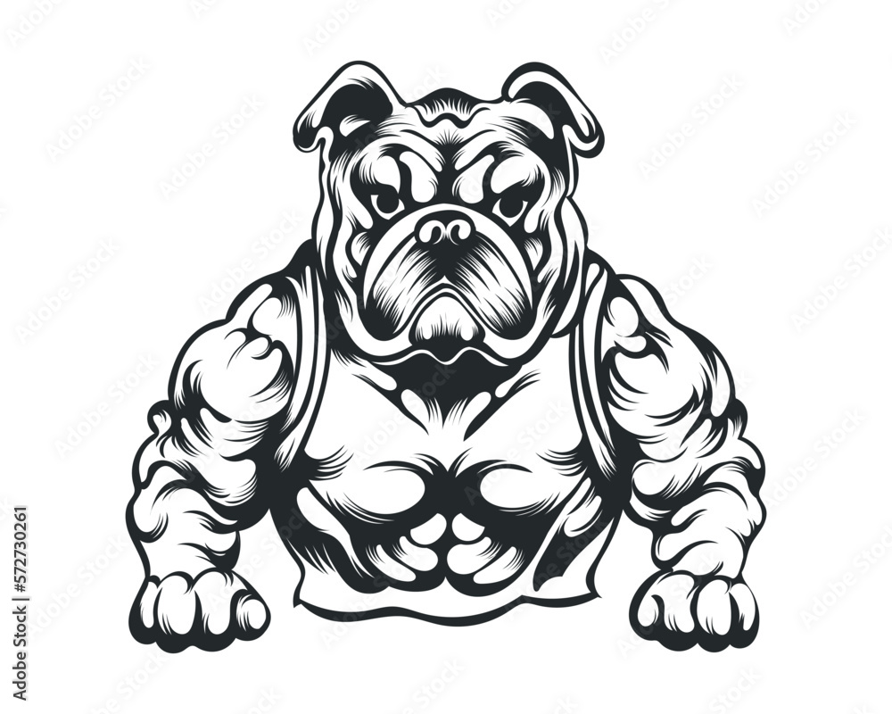 Black and White body builder Bulldog vector illustration, body builder dog vector