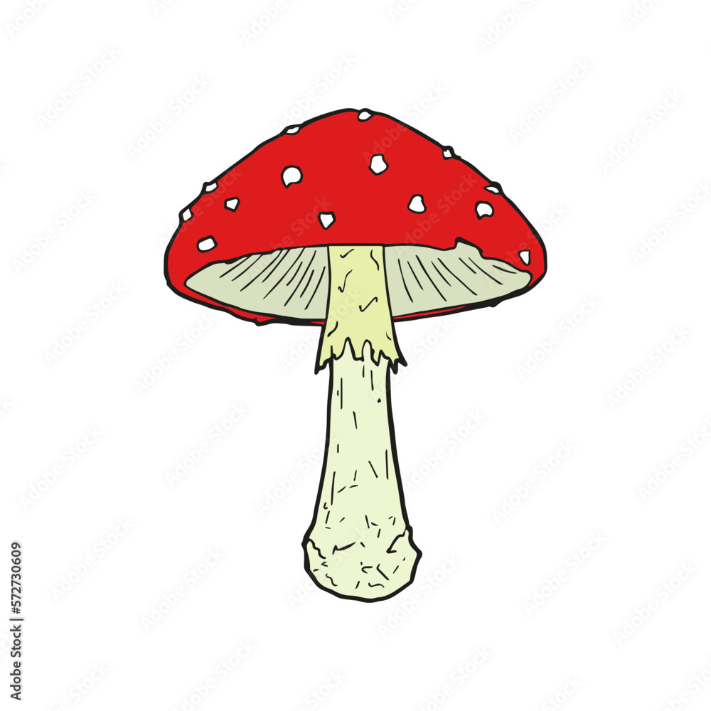 Fly mushroom. Amanita muscaria. Vector illustration. Sketch. Fly mushroom. Amanita muscaria. Vector illustration. Sketch.
