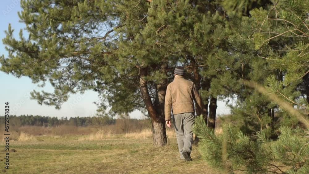 a man walks near the forest in spring a man walks near the forest in spring