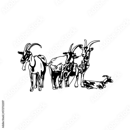 Black and white sketch of a goat with transparent background