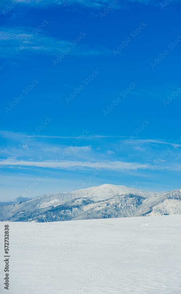 Views from city Liptovsky Mikulas to West Tatras in winter time with snowy trees  and cloudy sky. Liptov region, Slovakia. Winter trees background.