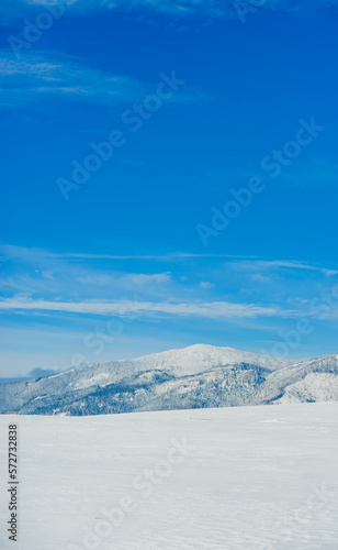 Views from city Liptovsky Mikulas to West Tatras in winter time with snowy trees  and cloudy sky. Liptov region  Slovakia. Winter trees background.