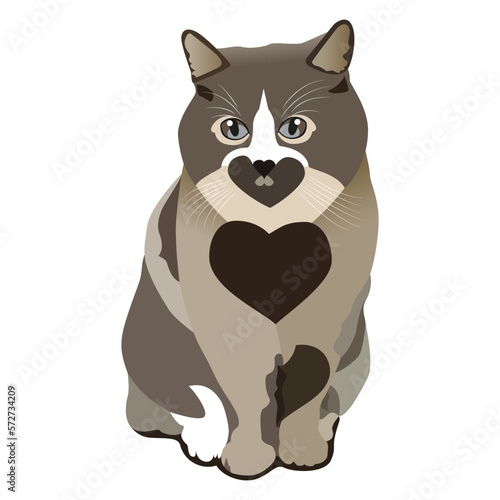 Fototapeta Naklejka Na Ścianę i Meble -  Lovely Cat Drawing, a beautiful cat design template. 