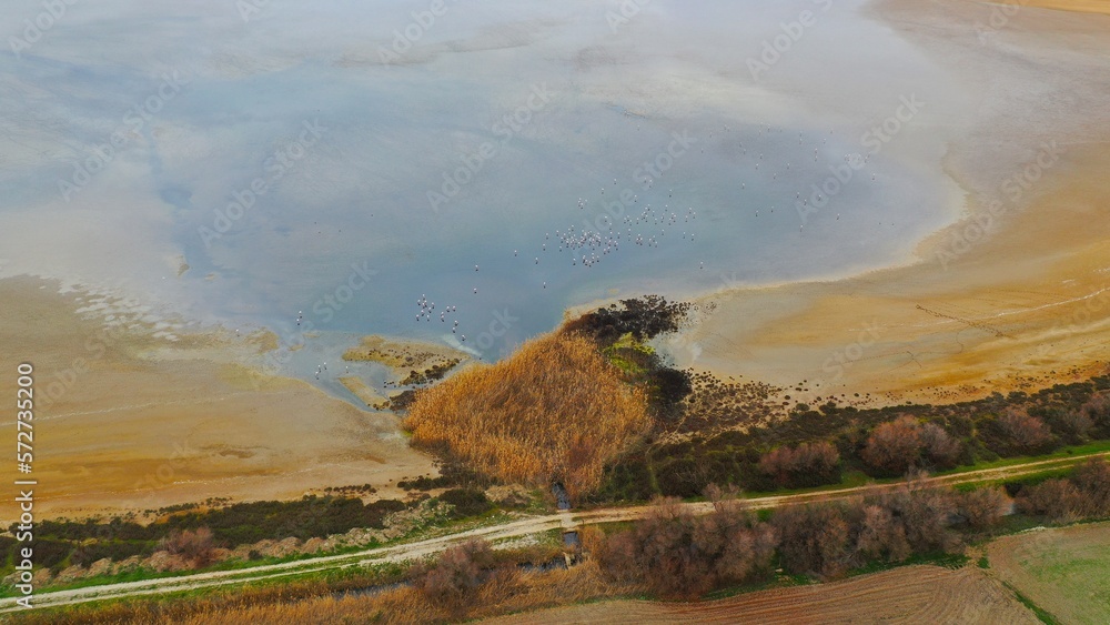 Laguna de fuente de Piedra , humedal de paso de aves migratorias desde África a Europa .