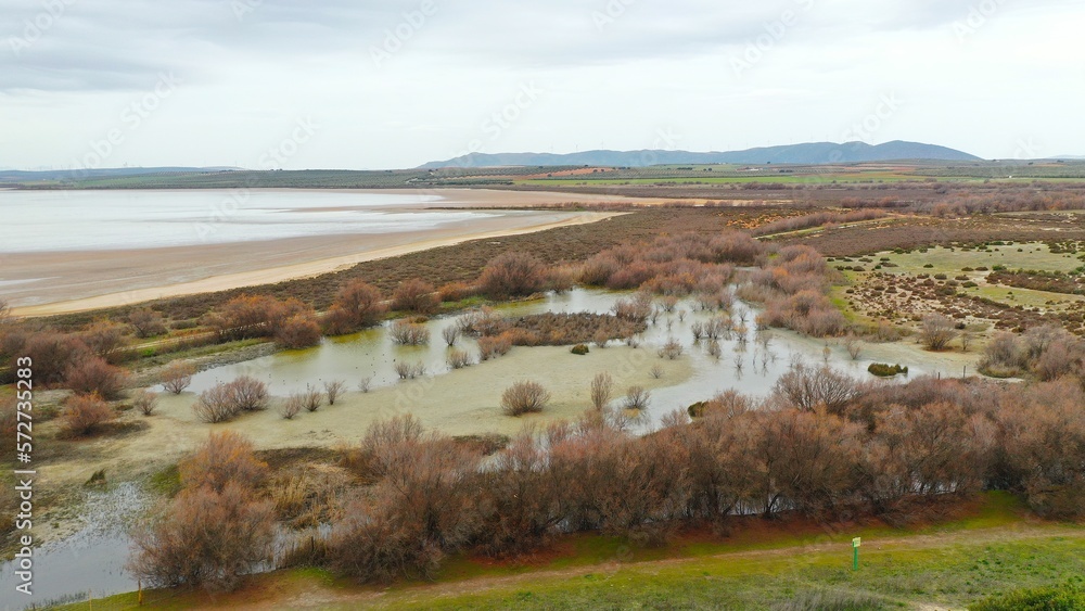 Obraz premium Laguna de fuente de Piedra , humedal de paso de aves migratorias desde África a Europa .