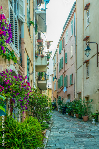 Hanging potted plants on hill  of Cannes - narrow streets. Next  to  church  Eglise Notre Dame d'Esperance © Marat Lala