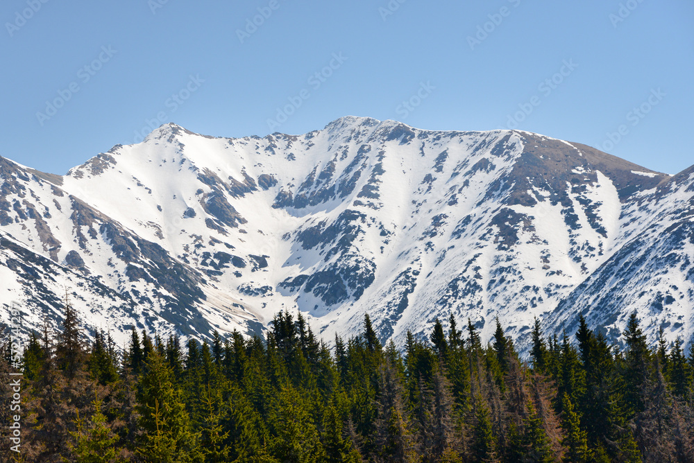 Fototapeta premium Beautiful view of the snowy mountains with blue sky , no clouds during day in the spring. Spring meadow with snow and knee-timber. West Tatras, Slovakia, Liptovsky Mikulas.