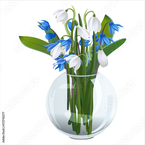 Glass round transparent vase with a bouquet of the first spring flowers in white and blue - a postcard for the spring holidays