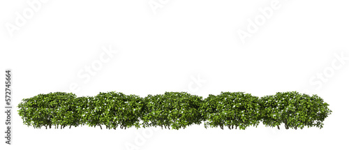 Canvastavla Green shrubs gardening row landscape cutout 3d rendering png