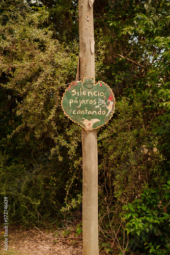 Silencio, pajaros libres