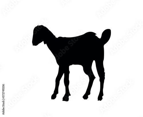 Vector flat goat silhouette isolated on white background